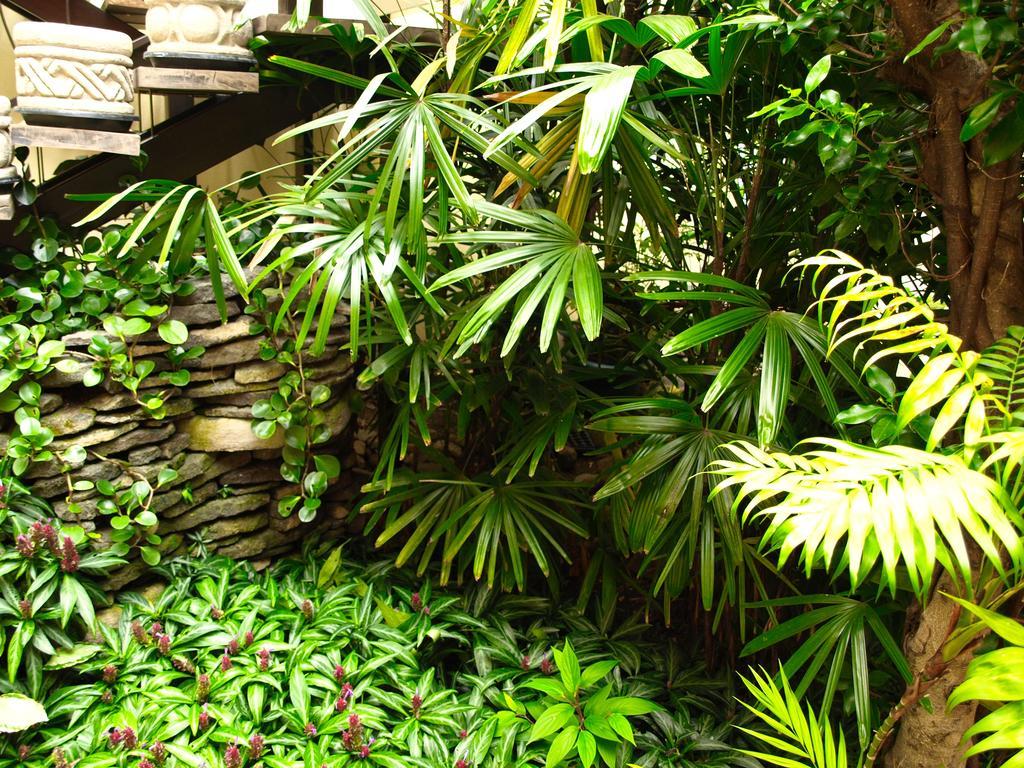 Hotel The Palm House Inn San José Exterior foto